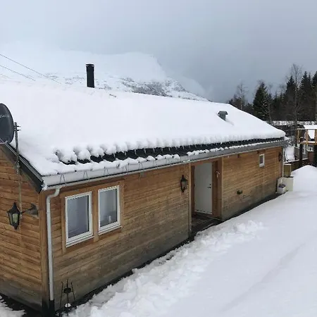 Lunvik - Flott Ved Nysaetervatnet *