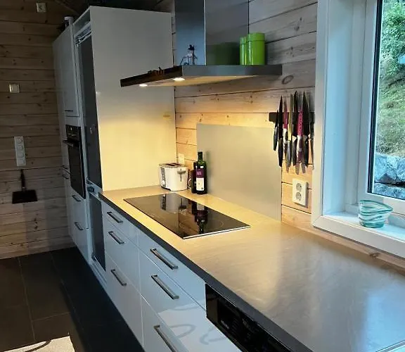 Lunvik - Flott Ved Nysaetervatnet * Sykkylven